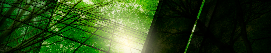 Eco-friendly building in the modern city. Green tree branches with leaves and sustainable glass building for reducing heat and carbon dioxide.
